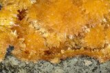 Intense Orange Calcite Crystal Cluster - Poland #228284-1